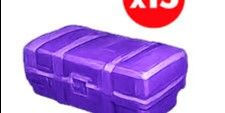 Skin Case 3 x3