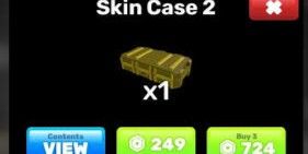 Skin Case 2 x3
