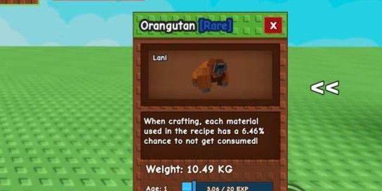 Titan Orangutan Grow A Garden