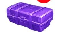 Skin Case 3