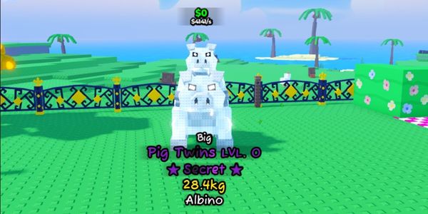 BIG PIG TWINS [ALBINO] RIDEABLE + FLYABLE