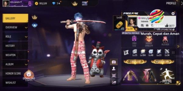 FF account with many skins, GG, cheap, with SG 245