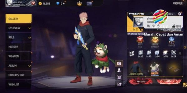 FF account with many skins, GG, cheap, with SG 133