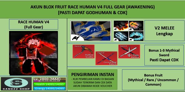 Blox Fruit Race Human V4 Full Gear (Awakening) Account (Godhuman + CDK) [Level MAX]