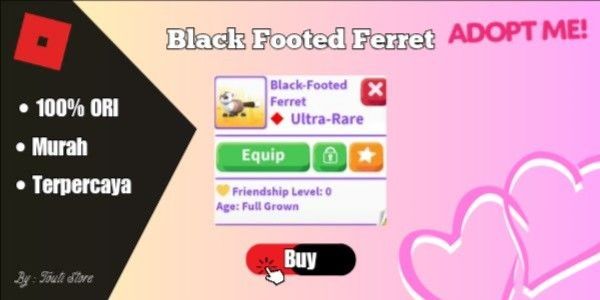 Black Footed Ferret Adopt Me
