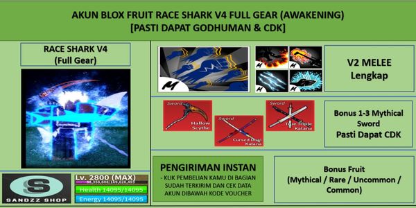 Blox Account Fruit Race Shark V4 Full Gear (Awakening) (Godhuman + CDK) [Level MAX]