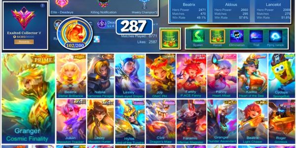 #3720 | 287 Skins | Collector Natalia | Prime Granger Beatrix | Transformers Roger