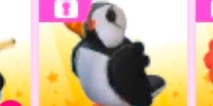 Normal Puffin