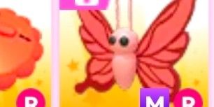 MR Scarlet Butterfly