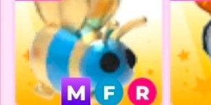 MFR Queen Bee