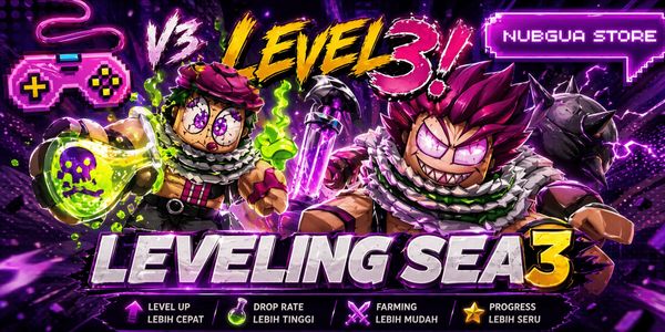 Leveling 3rd Sea