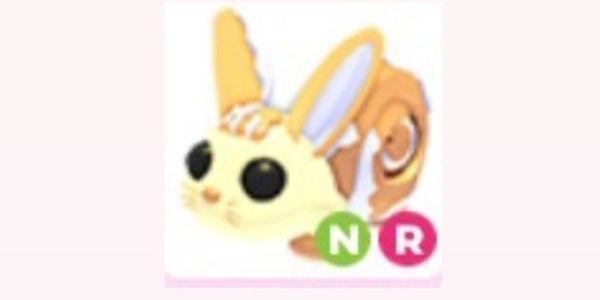 Pet NR Bunny Swirl (item adopt me)