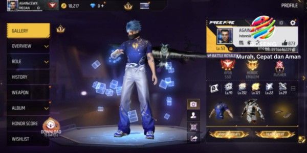 FF account with many skins, GG, cheap, with SG 110