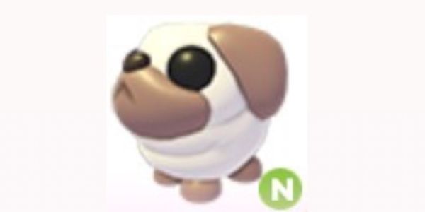 Pet N Snowball Pug (item adopt me)