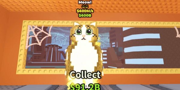 Meowl