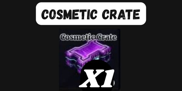 Cosmetic Crate