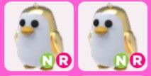 Golden King Penguin NR - Adopt me