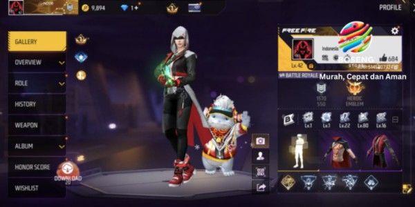 FF account with many skins, GG, cheap, with SG 70