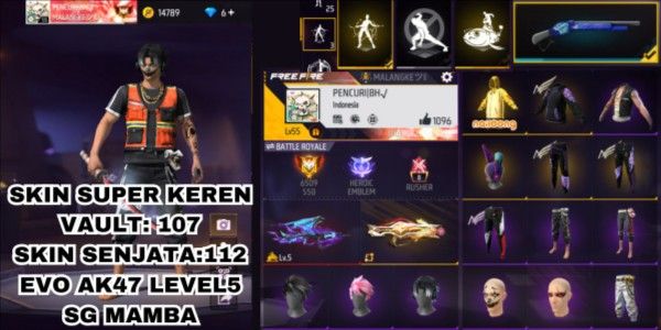 SKIN SUPER COOL VAULT: 107 WEAPON SKINS: 112 EVO AK47 LEVEL 5 SG MAMBA