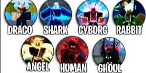 AKUN V4 ALL RACE V4 DRACO FULL GEAR SANGUINE ART CDK SG