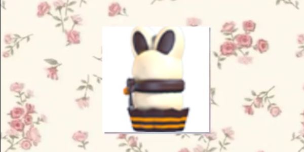 choccybunny box