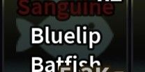 Sanguine Bluelip Batfish