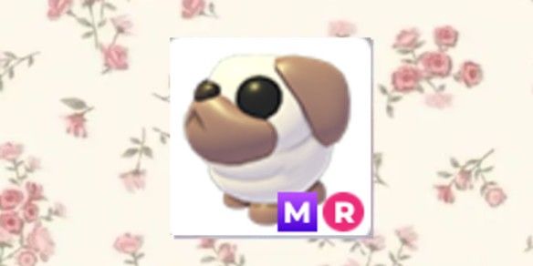 mega ride mr pug