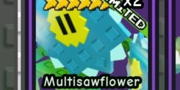 Multisawflower