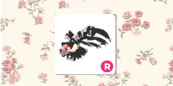 ride r grim dragon