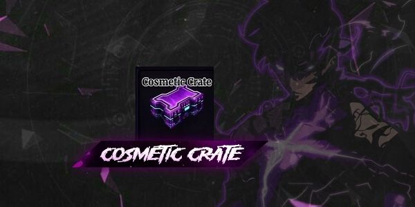 cosmetic crate