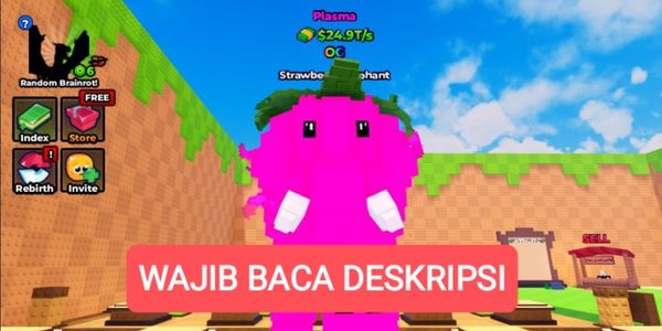 24.9T+/s Strawberry Elephant