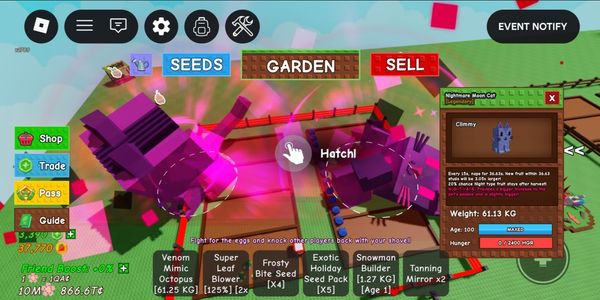 TITAN/HUGE NIGHTMARE MOON CAT 60-61KG++ 15 SECOND MAX PASSIVE BIG VISUAL IN THE GARDEN