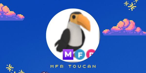 MFR Toucan