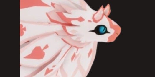 Error Cosmetic Tarotta