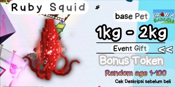 Ruby Squid | Random Kg | 1kg - 2kg | Banana cat shop