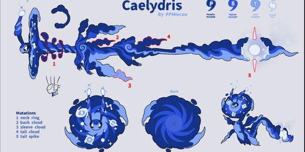 Caelydris