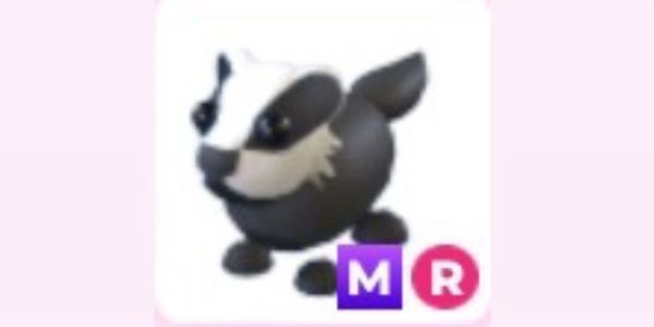 Pet MR Badger (item adopt me)
