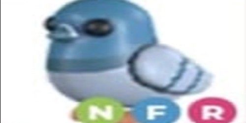 362871_6
