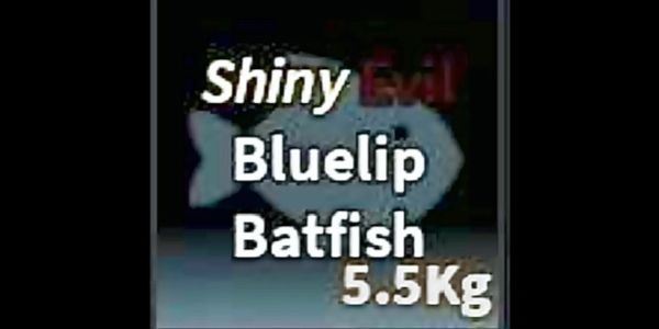 Shiny Evil Bluelip Batfish