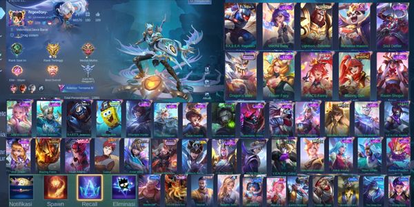 Full Hero max emblem skin account 270 famous collectors 4