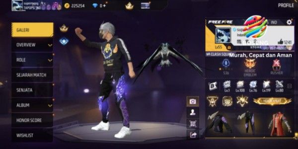 FF account with many skins, GG, cheap, with SG 216