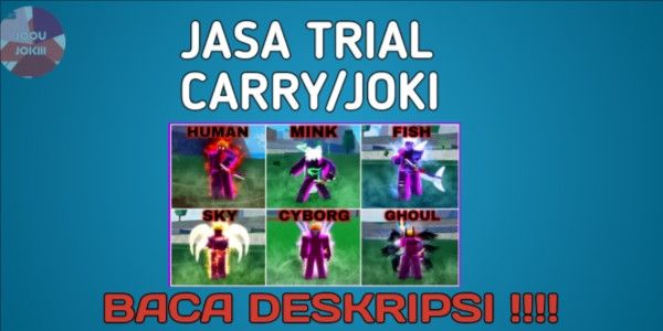 Trial Service 1x