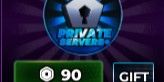 Private Server
