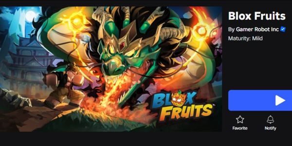 Private Server 1 Month