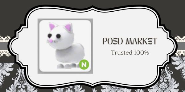 Snow Cat N