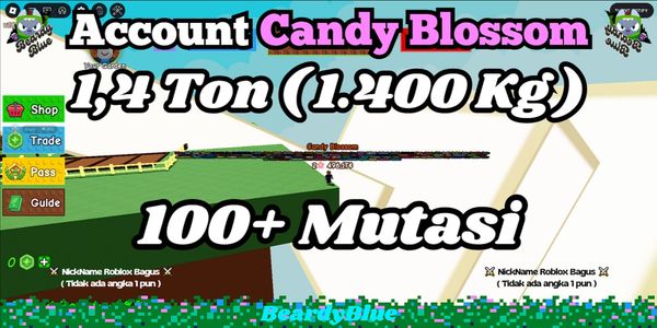 Account Grow A Garden | Instant Delivery #14