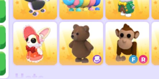Brown Bear