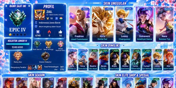 ACCOUNT SMURF WR GG, SAFE NOMINUS AND SPECIAL ELITE SKIN