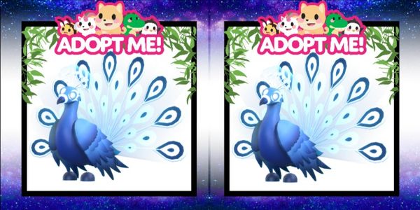 Moonbeam Peacock - Legendary