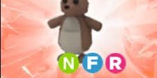 Kangaroo NFR
